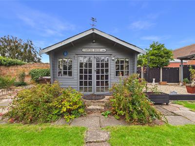 Picture 20